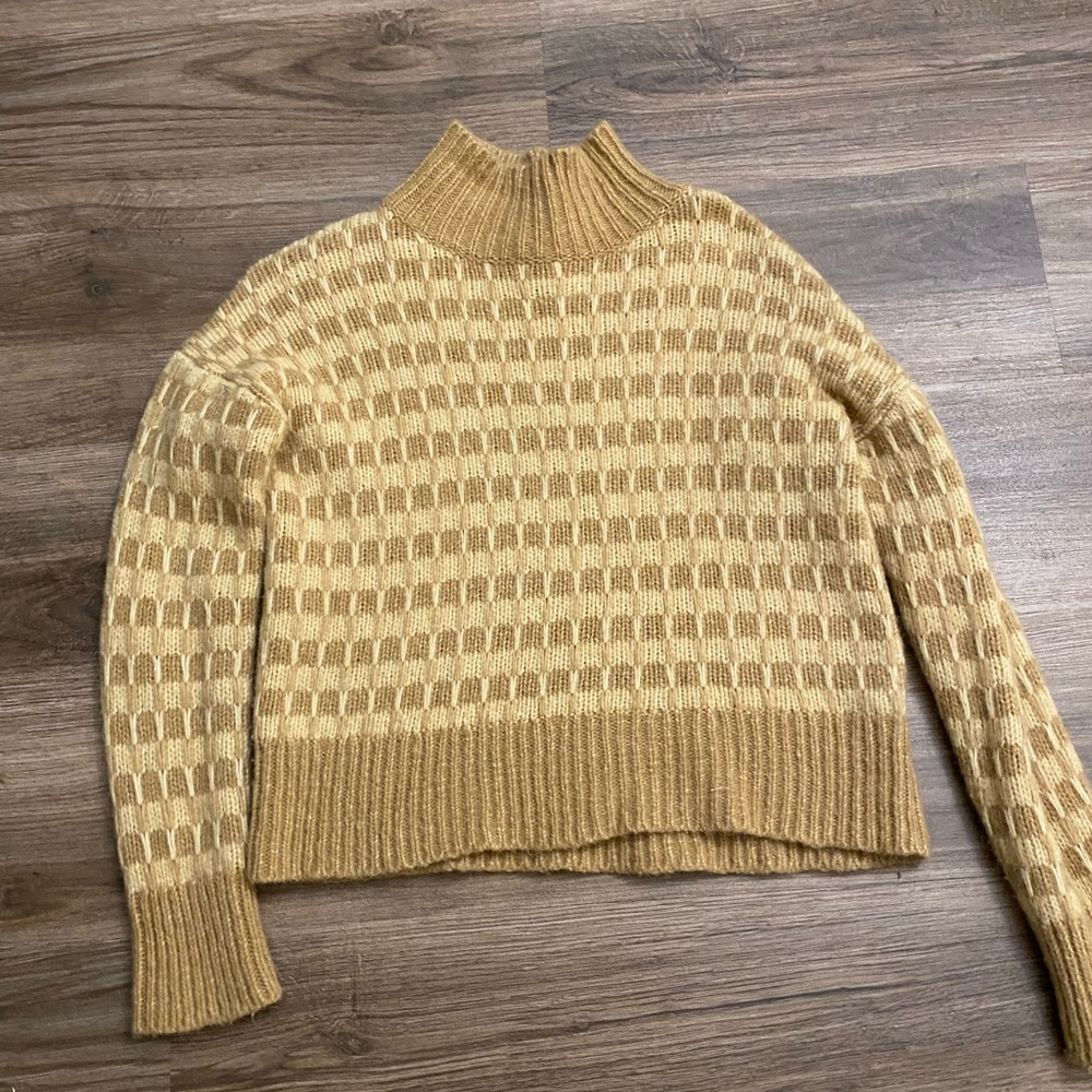 Everlane Merino Wool Turtleneck